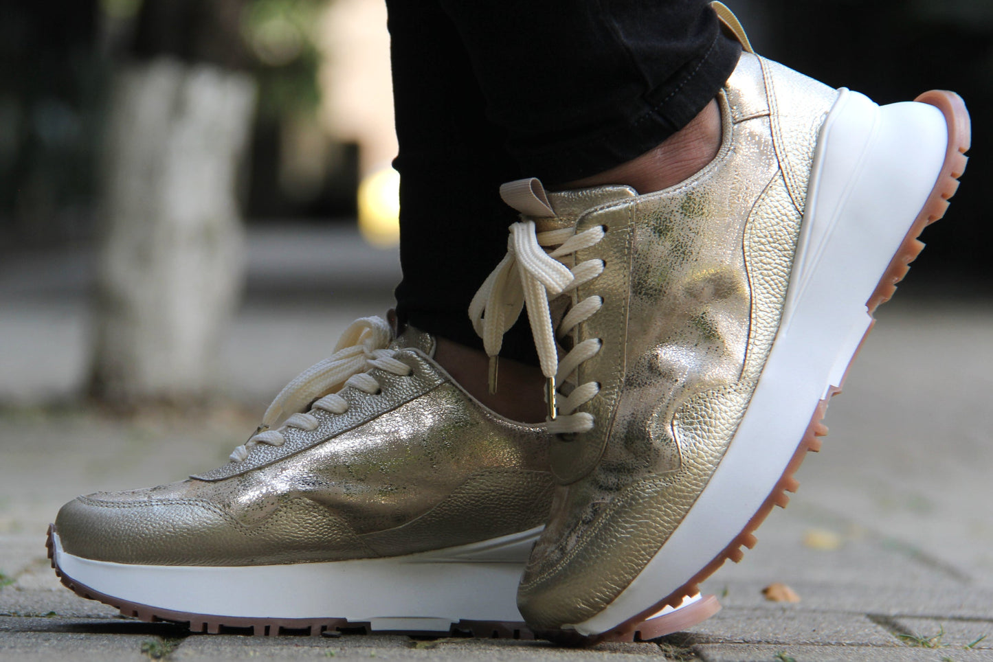 Tenis Dorado Champan