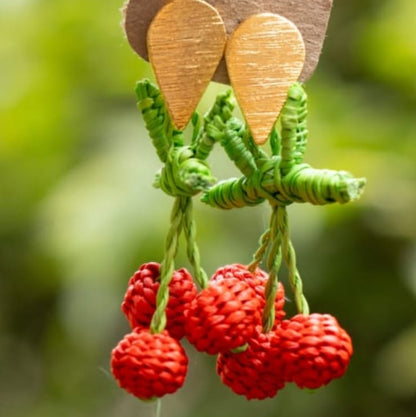 Aretes Frutos del Alma