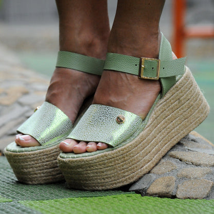 Plataforma Folis Aloe Verde
